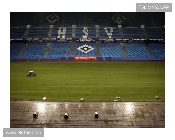 德甲联赛中哪些球队采用人工草皮球场？